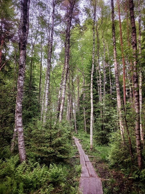Pomponrahkan luonnonsuojelualue Turku