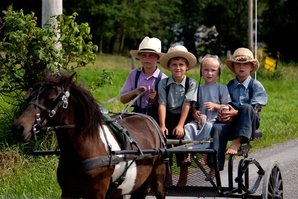 Amish kids in buggy | Captured a picture of these Amish kids… | Flickr