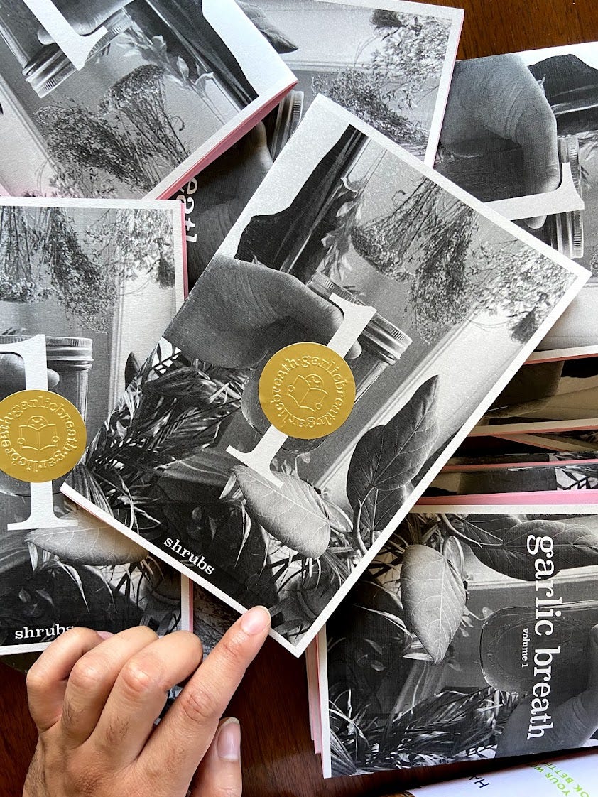 A bunch of shrub zines spread out on a table