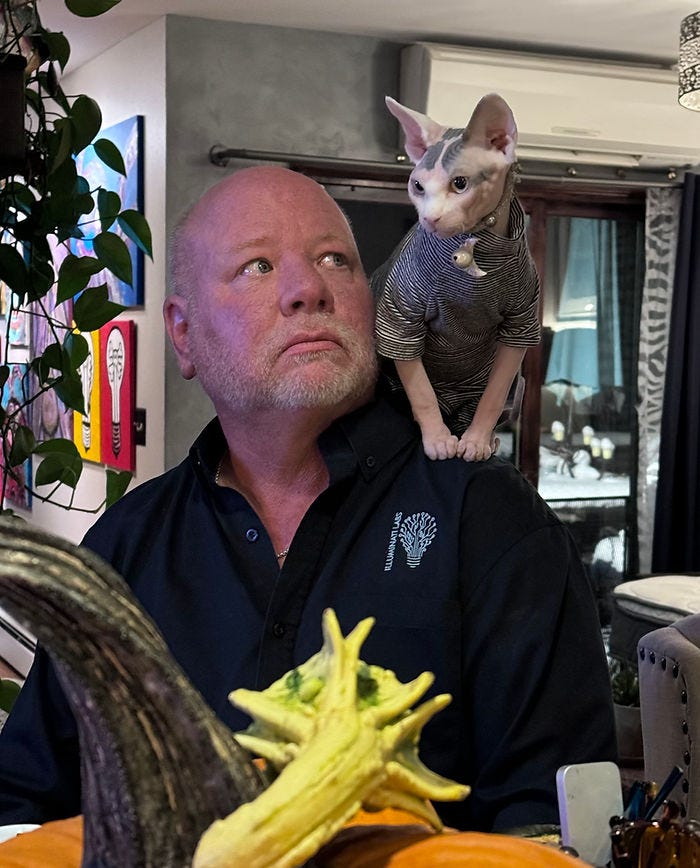 sphynx cat sitting on man's shoulder