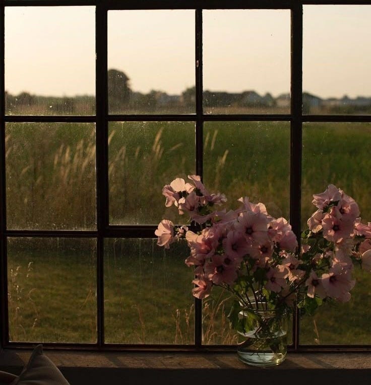 This may contain: a vase filled with pink flowers sitting on top of a table next to a window