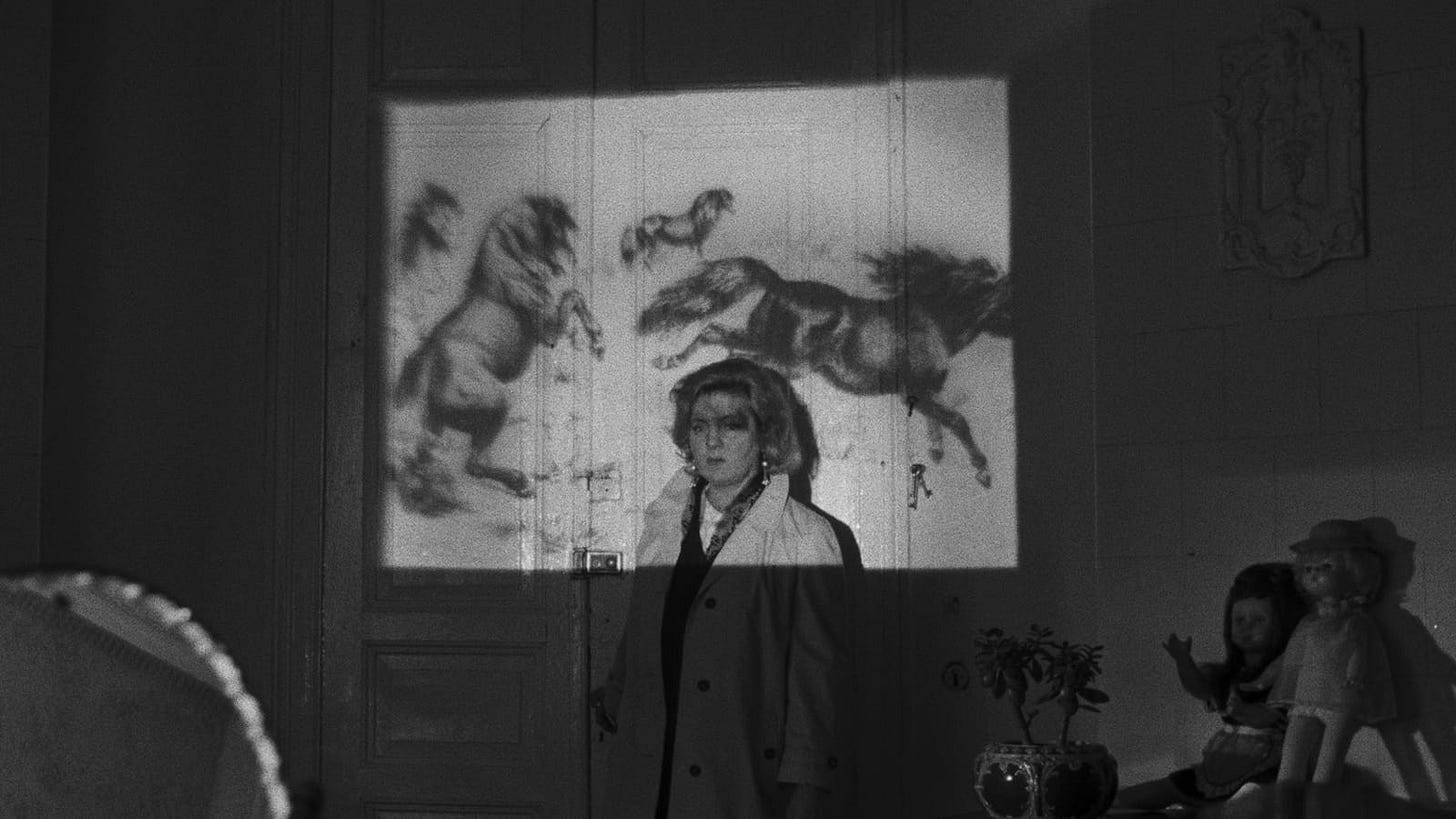 Janus Films — The Long Farewell