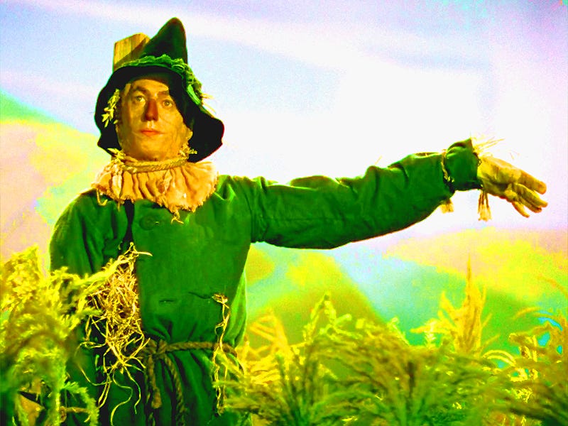 A person in a green garment

AI-generated content may be incorrect.