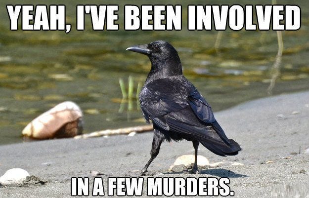 More Memes... (Credit-Arwell837) : r/CrowGang