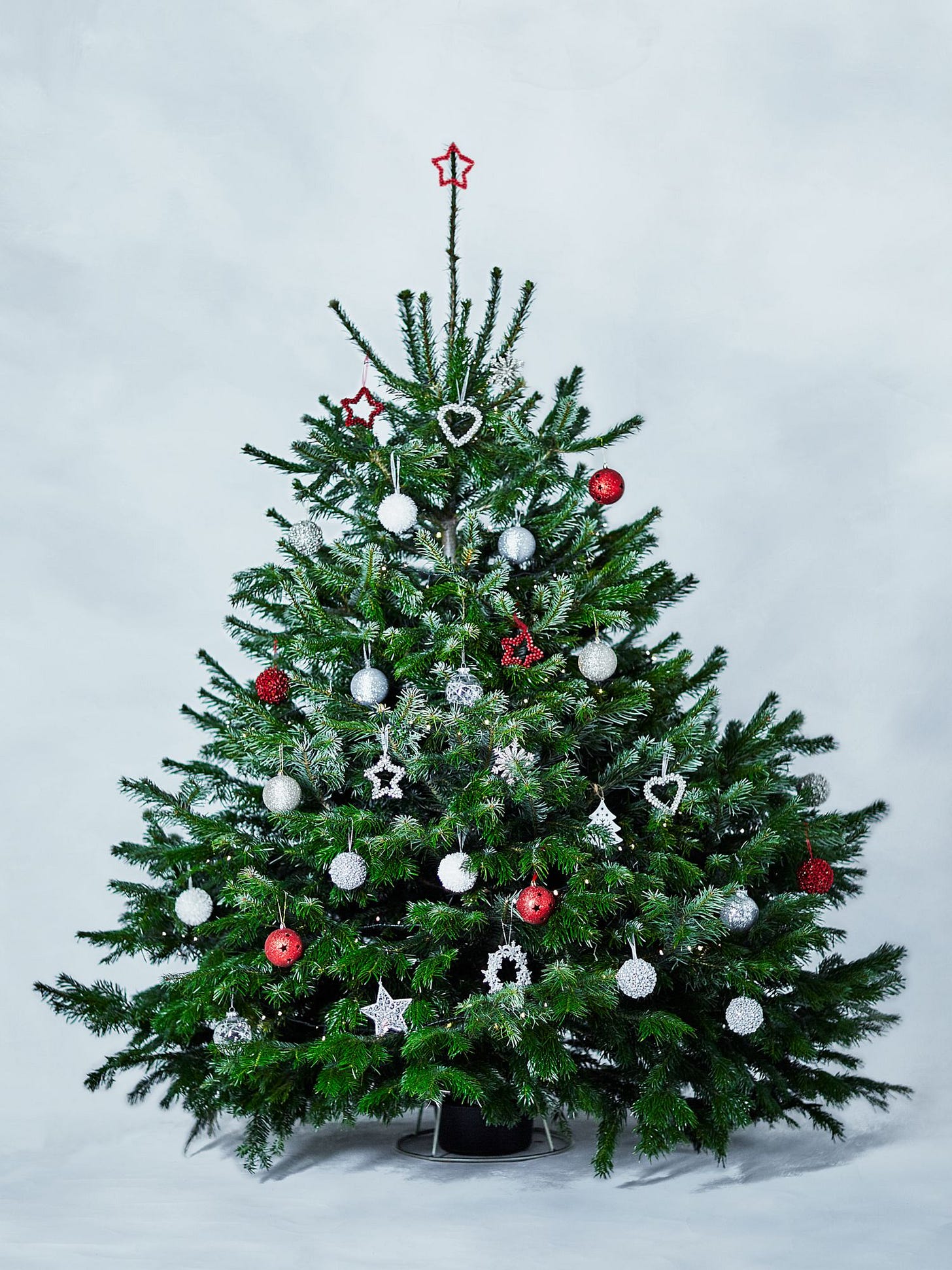 A Christmas tree