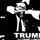 As U.S. braces for Trump, it could learn a lot from the Global South about what "resistance" really means