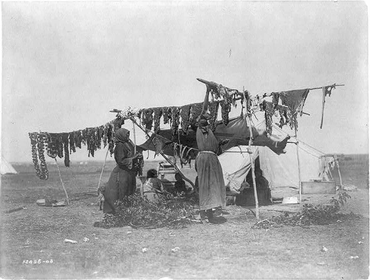 Historic photograph by Edward Curtis showing two Dakota women and drying racks of meat Historic photograph by Edward Curtis showing two Dakota women and drying racks of meat