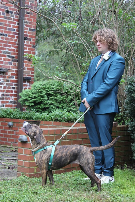 Selected photos from the wedding