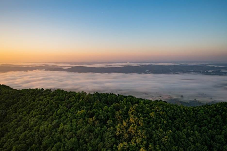 A view of a forest and the clouds

AI-generated content may be incorrect.