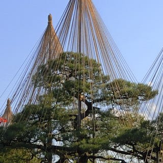 Artwork for Provenance Watches