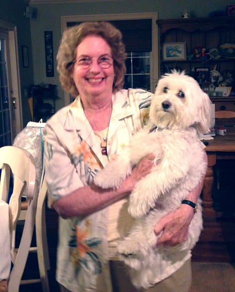White Havanese with various family members who are all smiling