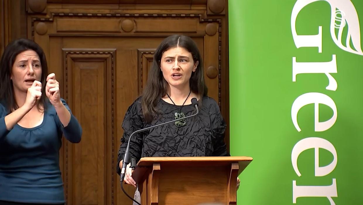Green Budget would see $88 billion in new taxes pay for free ECE, dental,  GP care | Stuff