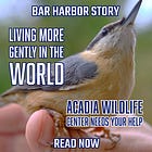 Living More Gently in the World