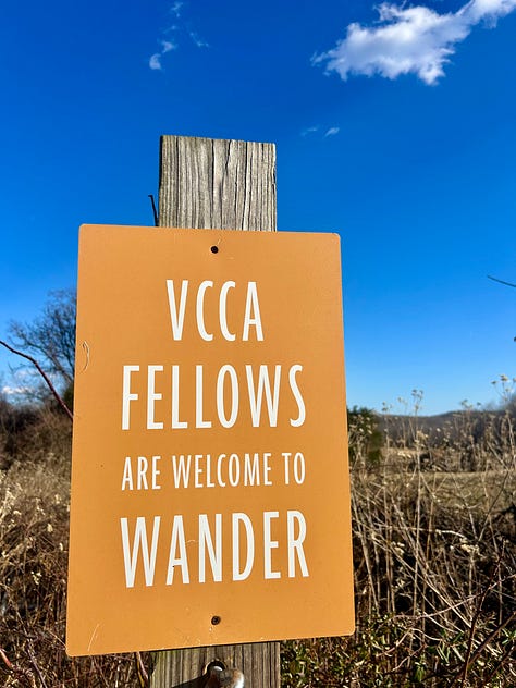 VCCA residency