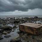 South Korea Recovers Wooden-Box Landmines Washed Ashore Near Inter-Korean Border