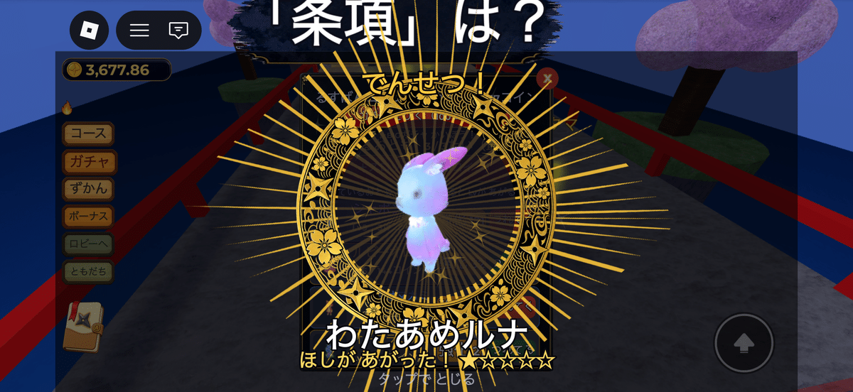 画像 画像