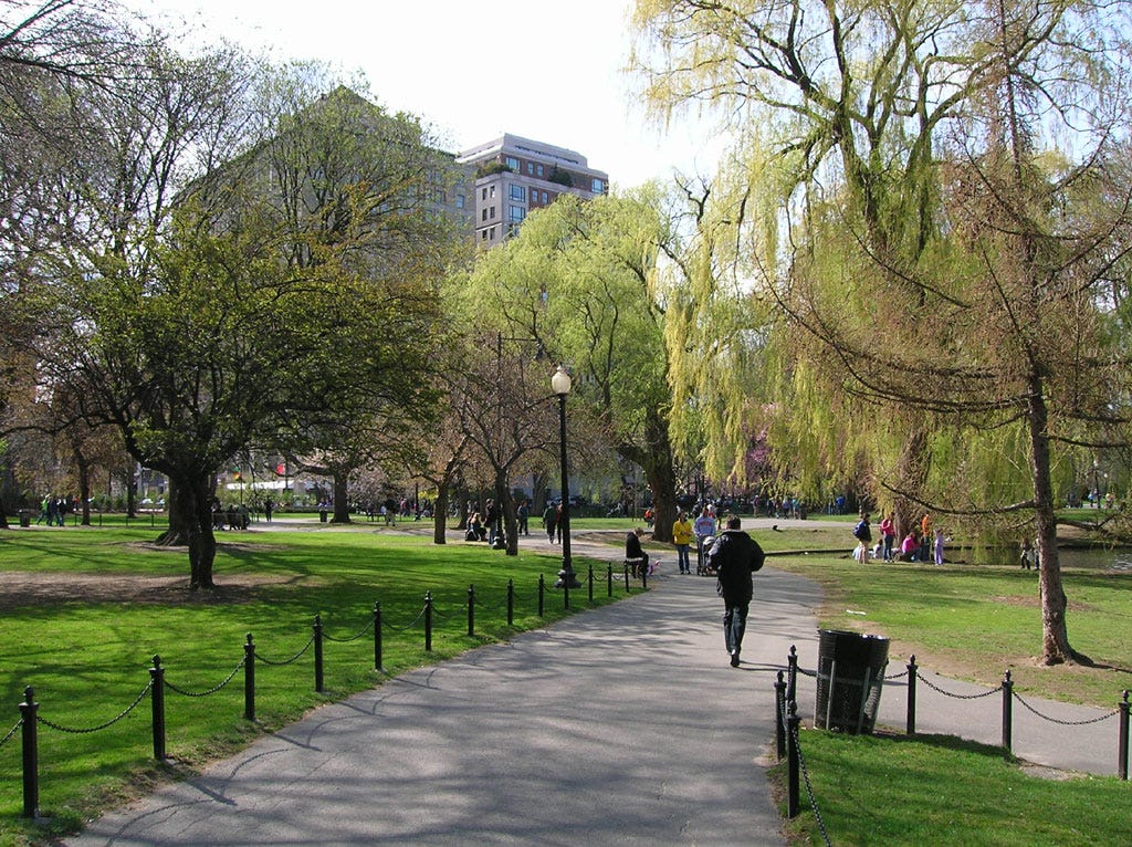 boston-common boston-common