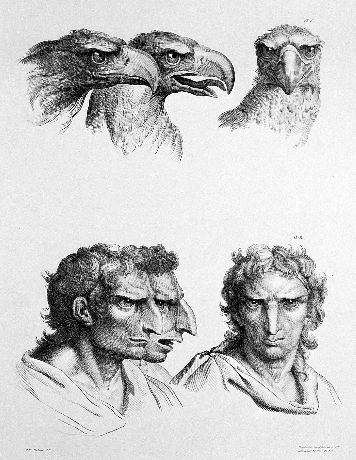 Charles le Brun — Charles le Brun, the relation of the human face to that of the eagle, Wellcome Collection / CC BY 4.0 (Wikimedia Commons) Charles le Brun — Charles le Brun, the relation of the human face to that of the eagle, Wellcome Collection / CC BY 4.0 (Wikimedia Commons)