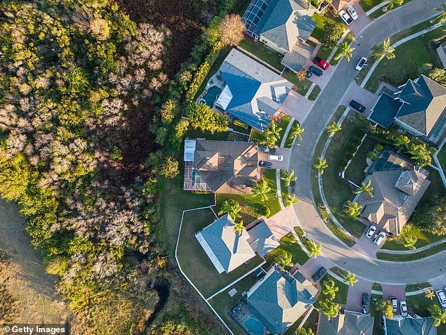 Tampa had 1,087 foreclosure filings in October - significantly more than the 366 the city had in October 2024 (Pictured: a Tampa suburb)