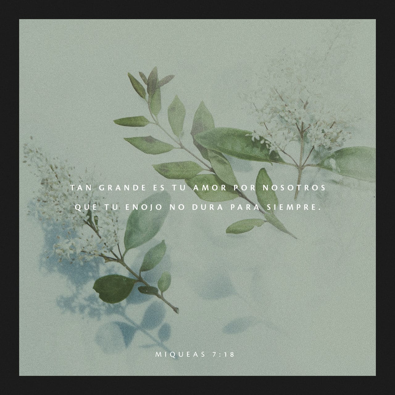 Versículos sobre el Amor de Dios Versículos sobre el Amor de Dios