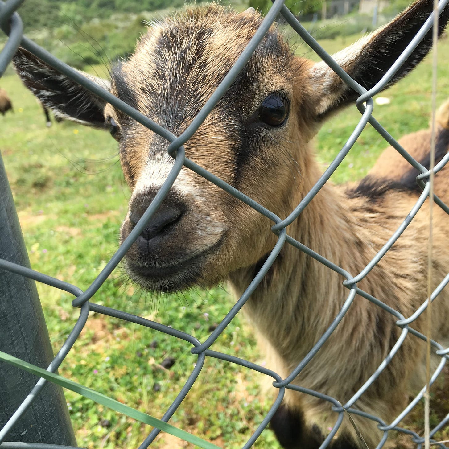 On Religion and Spirituality