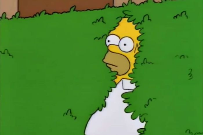 The Story of the 'Homer Simpson Backs Into the Bushes' Meme The Story of the 'Homer Simpson Backs Into the Bushes' Meme