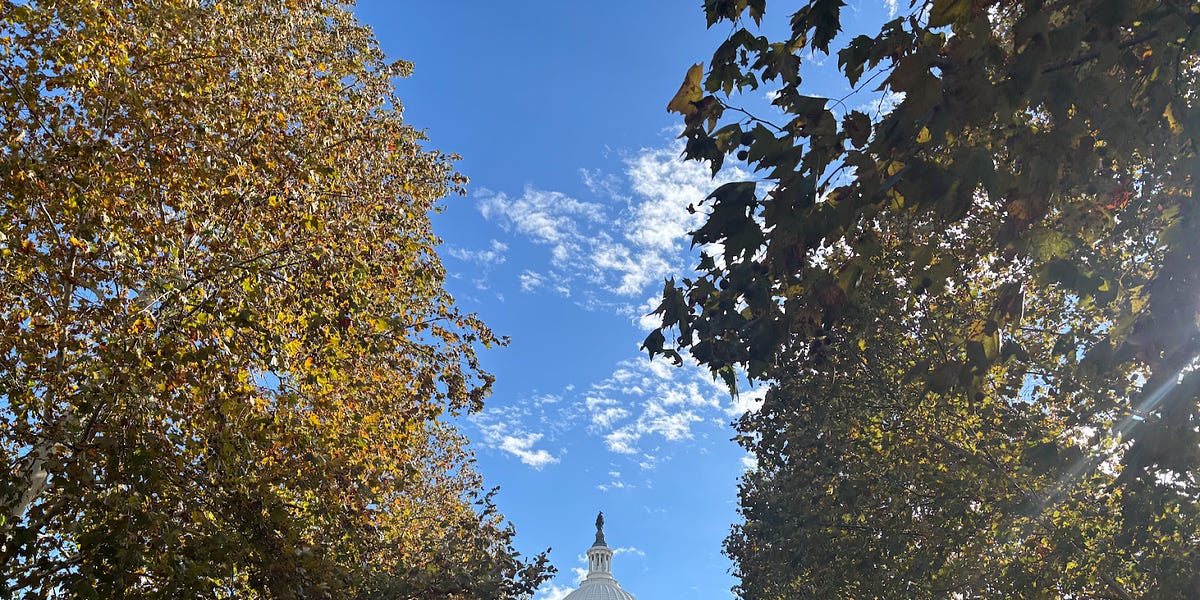 Fall back, quiet respiratory season, SNAP expiration and good news