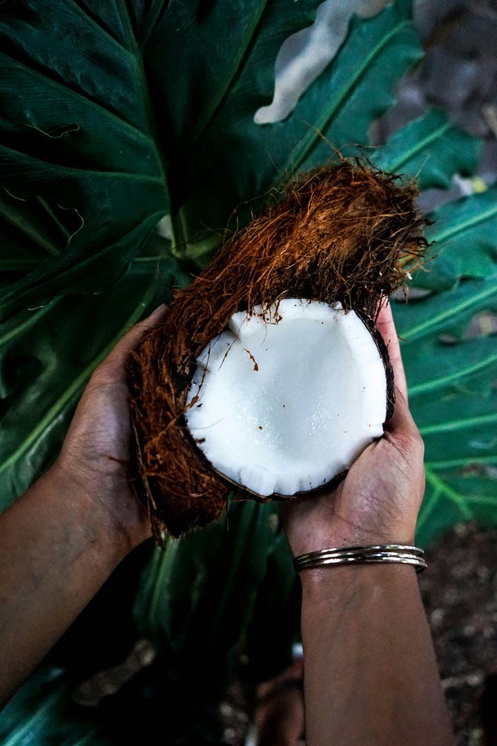 Freshly opened coconut, photo by Jonas Ducker via Unsplash. Coconut rice from the below recipe being fluffed.