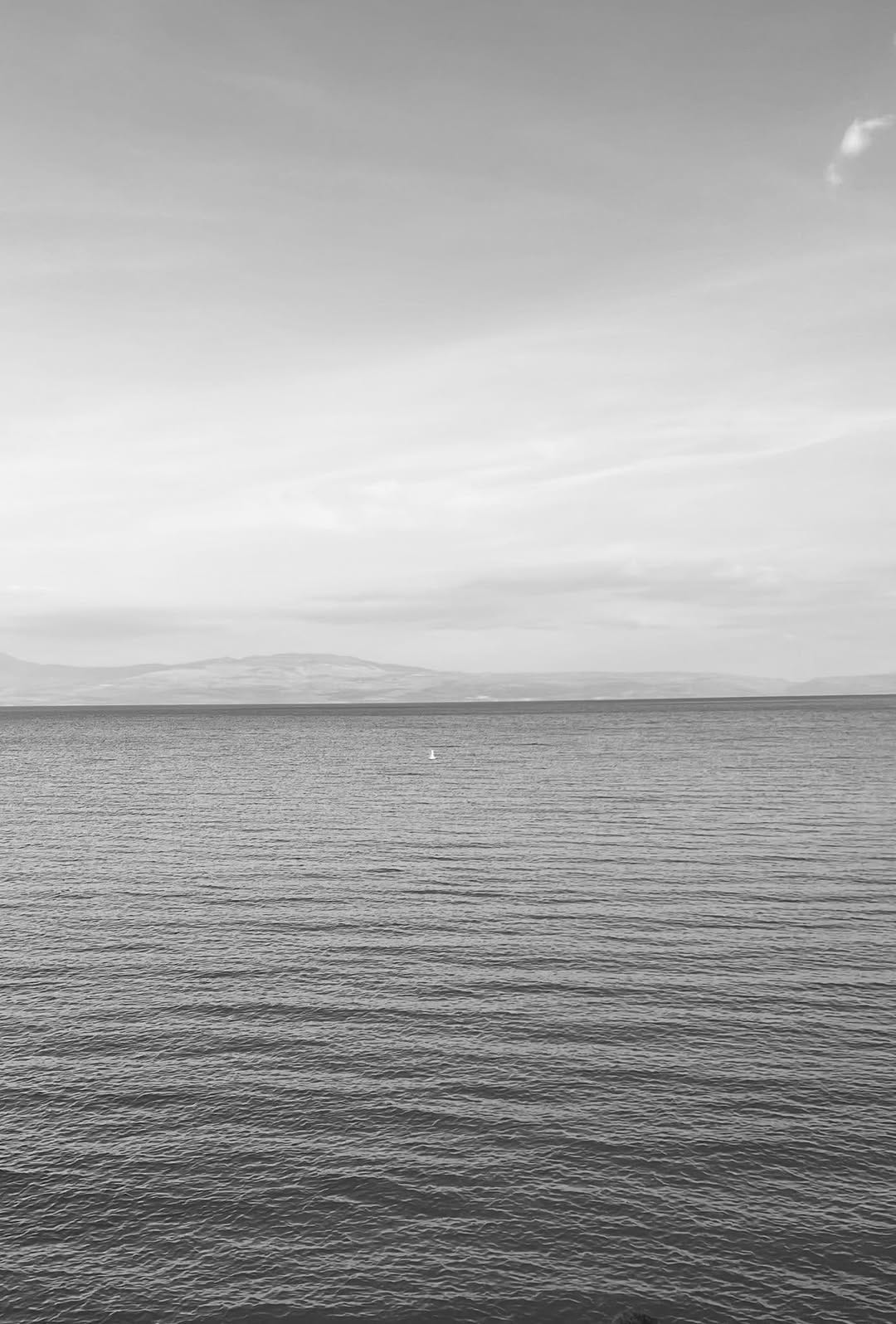 May be a black-and-white image