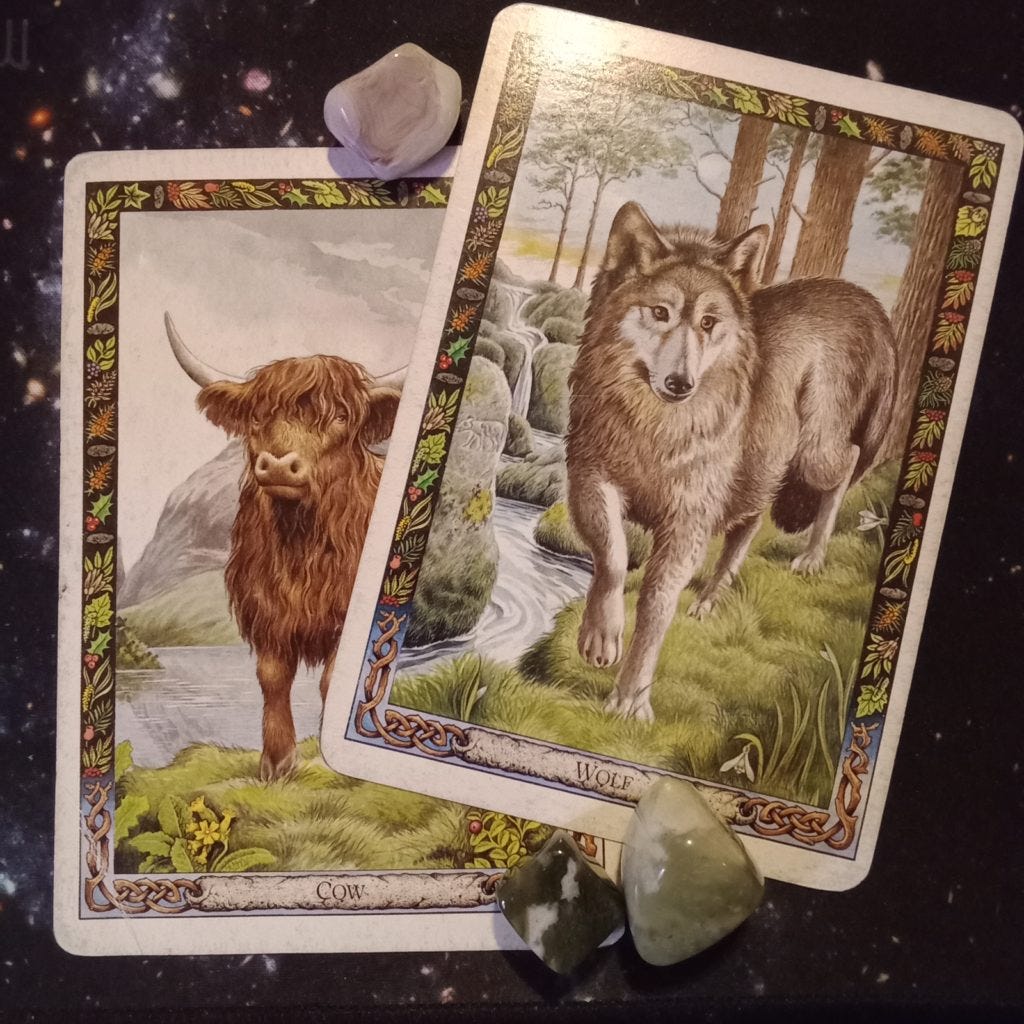 A Message From the Universe ~ Divine Feminine in Shadow, Multiple Druid Animal Oracle Cards A Message From the Universe ~ Divine Feminine in Shadow, Multiple Druid Animal Oracle Cards