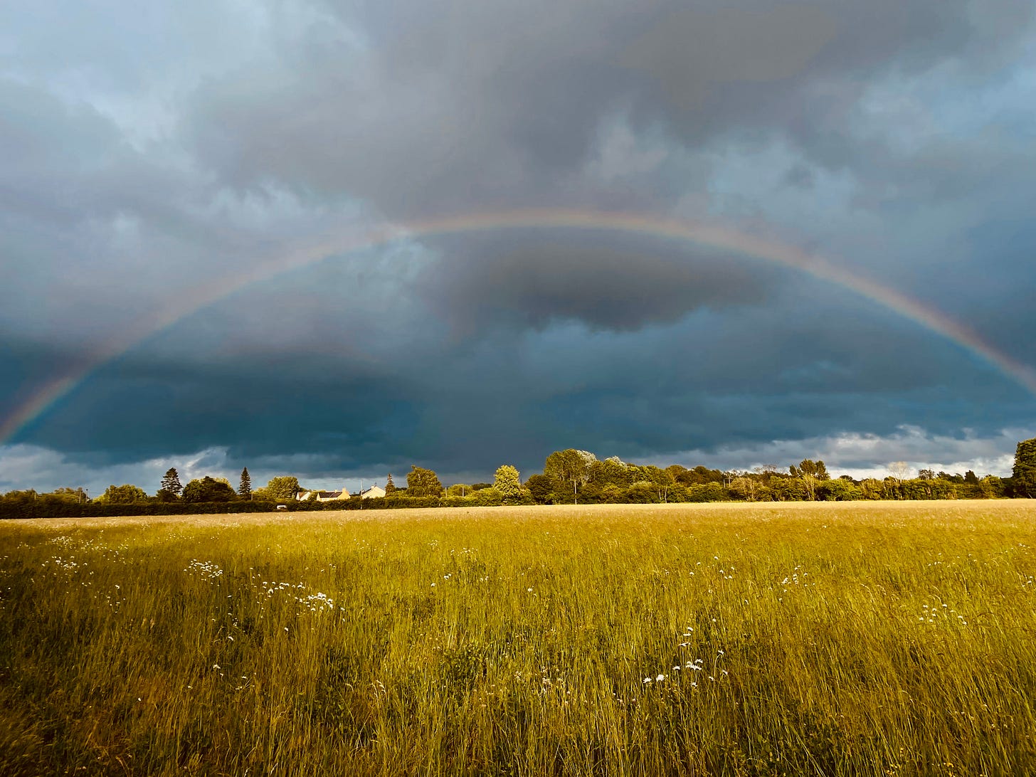A rainbow in dark clouds arches over yellow-green grass; small buildings and tress appear between A rainbow in dark clouds arches over yellow-green grass; small buildings and tress appear between