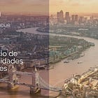 Radiografía de un "Value" Auténtico: Análisis del Palm Harbour Global Value Fund