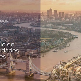 Radiografía de un "Value" Auténtico: Análisis del Palm Harbour Global Value Fund