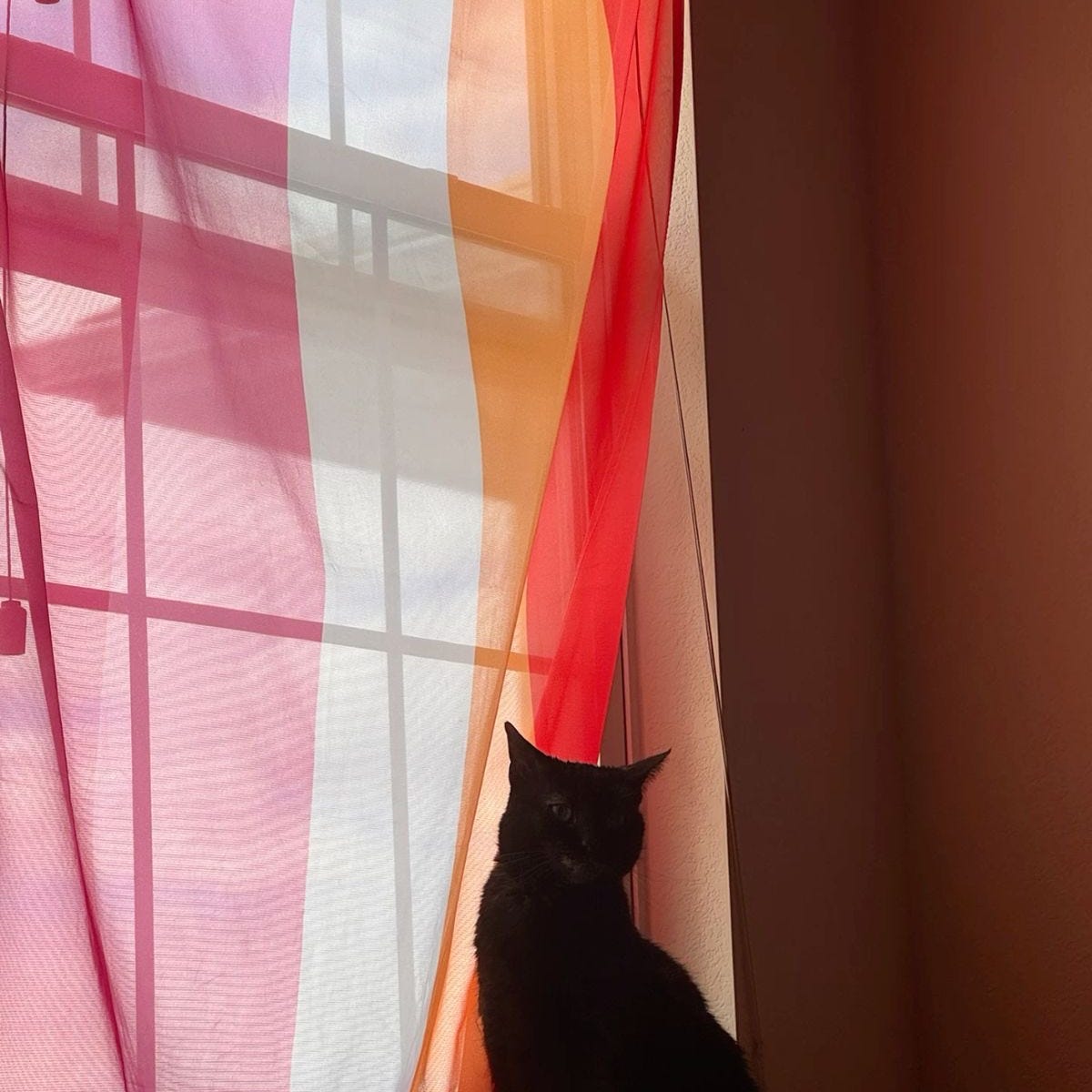 Diário de uma lésbica torturada