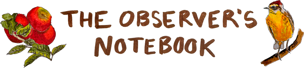 The Observer's Notebook