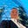 James Hardie's avatar