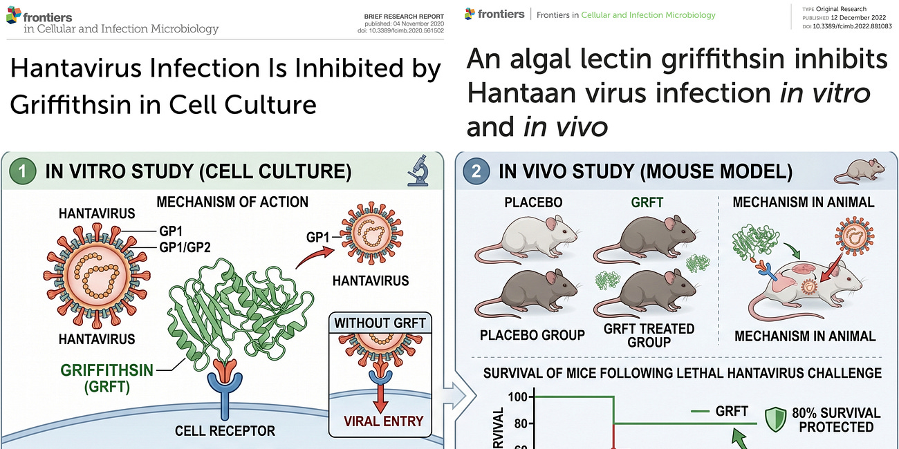 Natural Red Algae Protein Slashes Hantavirus Viral Load by >99.99% in Lab Models and Protects 80% of Mice from Lethal Infection