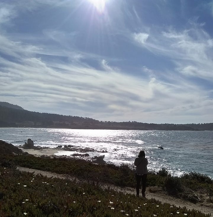Image top left: curly fence shadows. Top right: a friend walking on a train by the sea, lit by sunlight. Bottom left: Shreds of aluminum fencing hanging from a horizontal pole, the ocean behind it. Bottom right: dirt path through an italian-style garden leading to an open door in a stone wall.