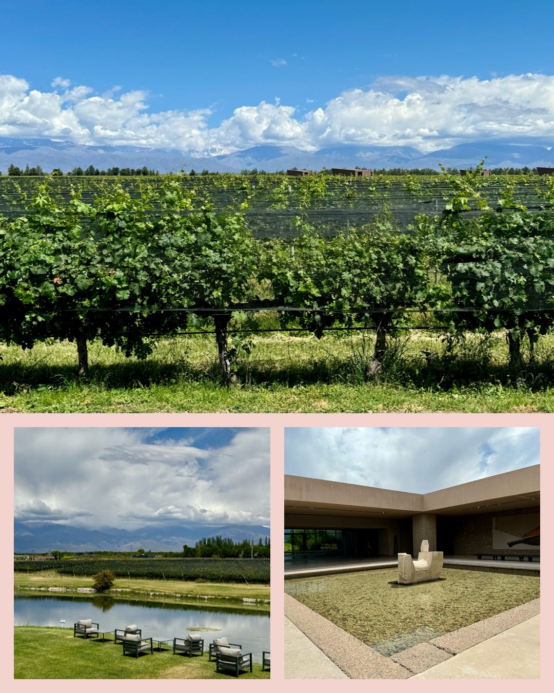 Tres fotos, en la superior, viñedos de Malbec en las que se ve claramente la malla de protección negra frente a calor y granizada. En la segunda, laguna artificial con sillas de campo en bodega Domain Bousquet y en la tercera, entrada de piedra y agua a bodega Salentein. Fotos de María Luz Rodríguez Tres fotos, en la superior, viñedos de Malbec en las que se ve claramente la malla de protección negra frente a calor y granizada. En la segunda, laguna artificial con sillas de campo en bodega Domain Bousquet y en la tercera, entrada de piedra y agua a bodega Salentein. Fotos de María Luz Rodríguez