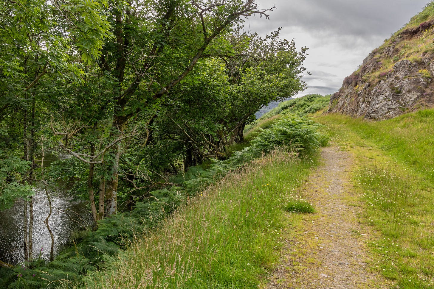 PROW: 25/37 Existing narrow track where the right of way squeezes between the River Lednock and the foot of Ben Chonzie adjacent to Funtulich SSSI © Felicity Martin
