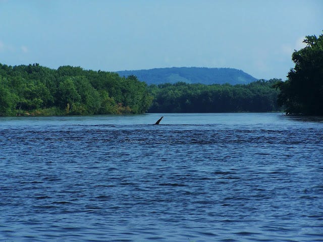 A body of water with trees in the back

Description automatically generated with medium confidence