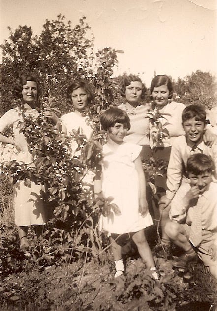 May be an image of 5 people and child May be an image of 5 people and child