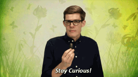 Joe Hanson GIF - Find & Share on GIPHY