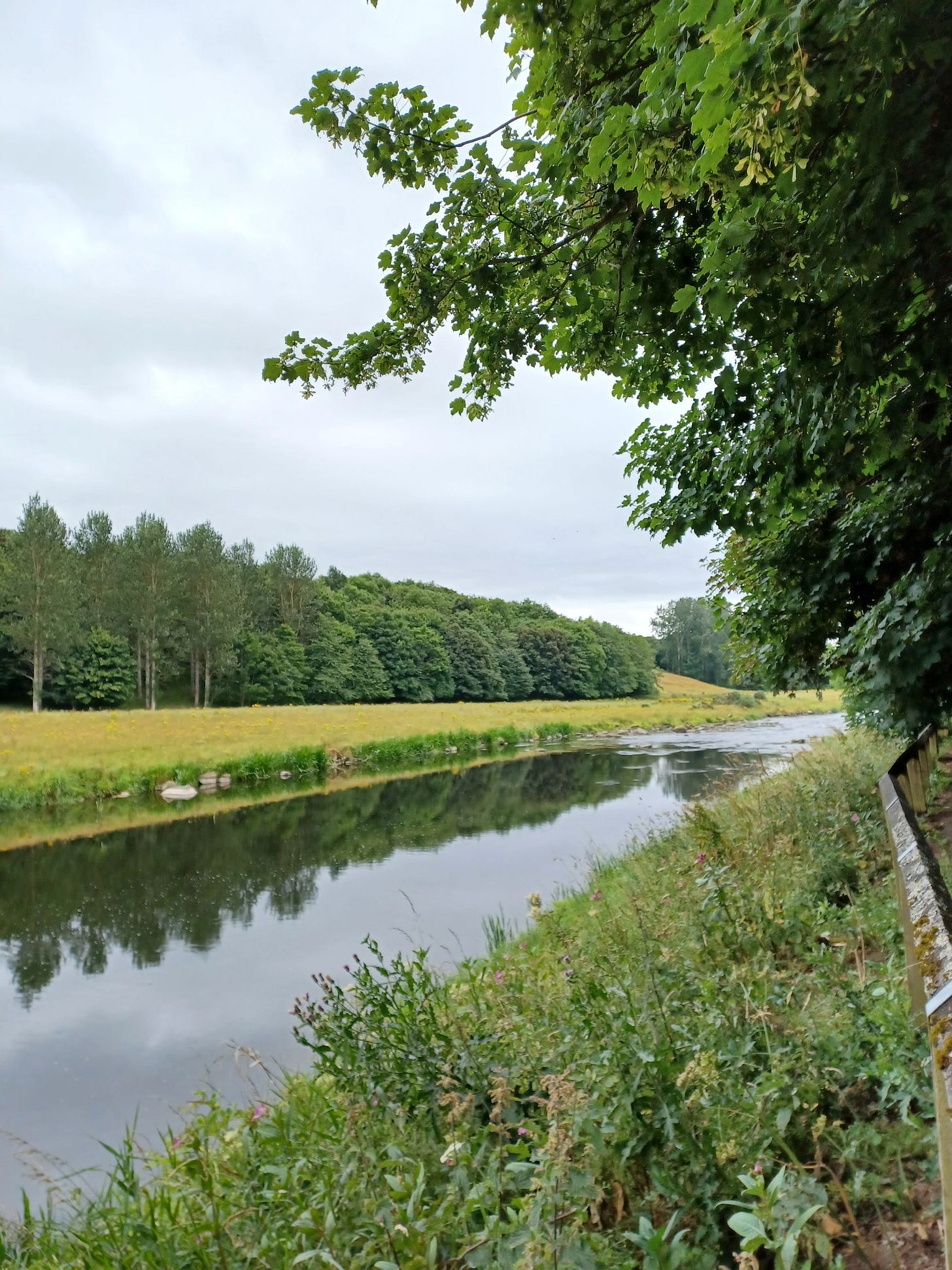 Living in Aberdeen Part 5