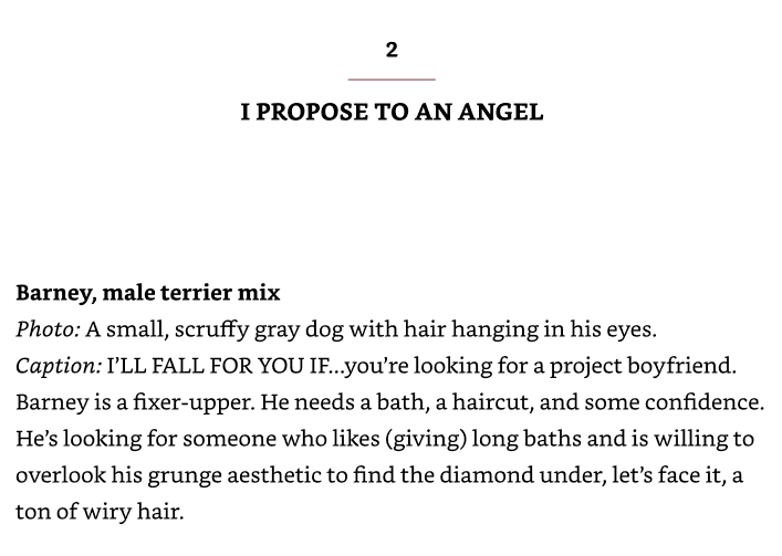 Excerpt from Marriage and Trouble by Michelle McCraw