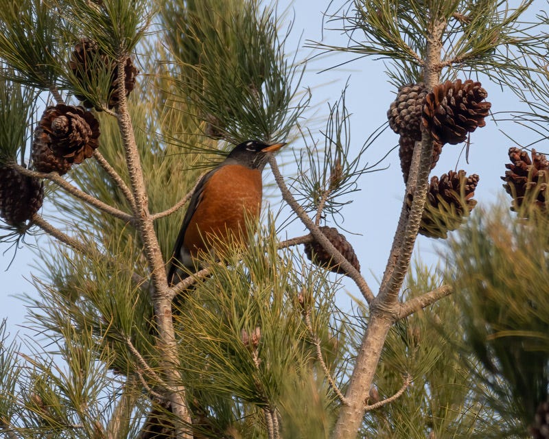 221220-SGC-26-Edit 2.jpg 221220-SGC-26-Edit 2.jpg