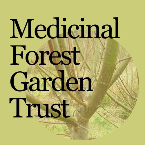 Medicinal Forest Garden Trust logo Medicinal Forest Garden Trust logo