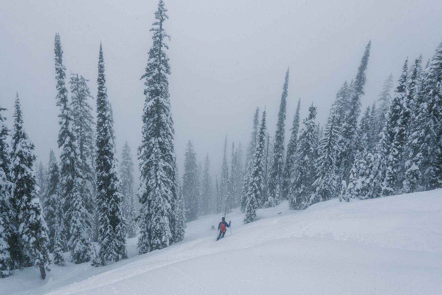 __wf_reserved_inherit