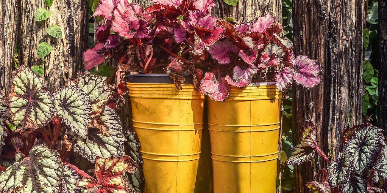 Waste Management — Re-Re-Re-Repeat!