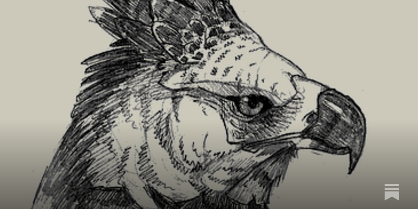 El Águila Harpía - by Juan Zara - Aves en General